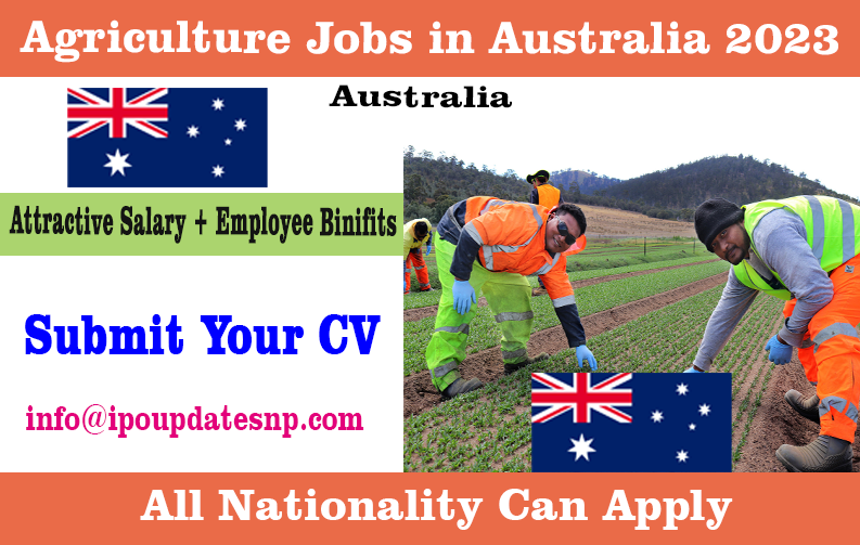 New Jobs Updated Canada Dubai UAE Qatar Singapore Start Your 