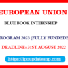 European Union Internship 2023